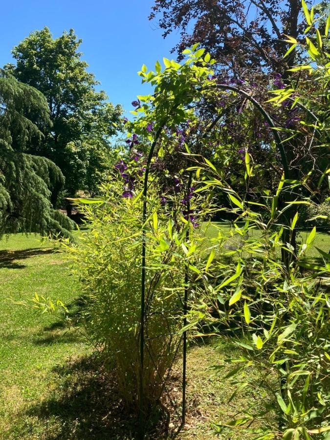 Le Clos De Quintaine De Charme Hébergement de vacances Clessé
